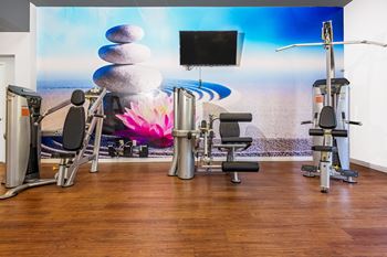 Fitness center with wall mural